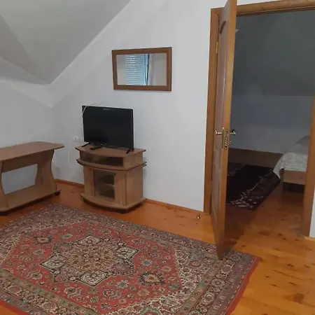 злоторія فيلة موكاشيفه