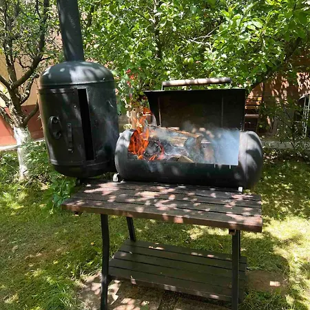 فيلة злоторія