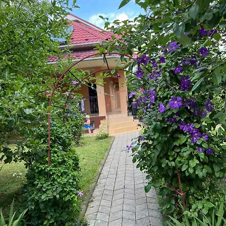 злоторія Вилла Мукачево