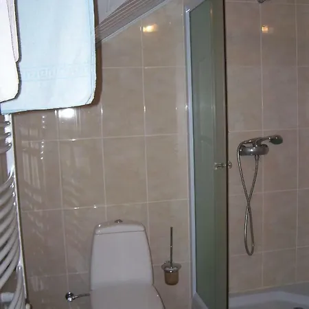 فيلة злоторія *