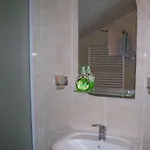 злоторія *